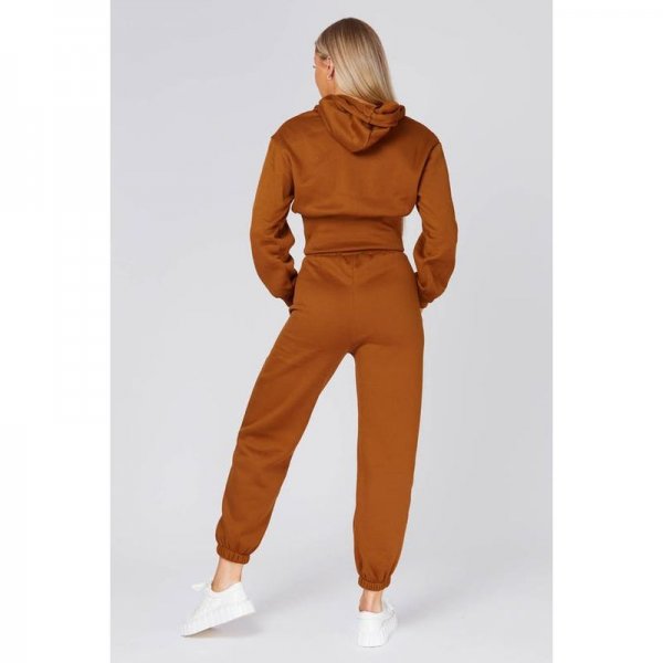 Brown Basic Cropped Hoodie And Joggers Set