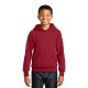 Youth Hooded Sweatshirt